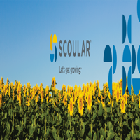 The Scoular Company