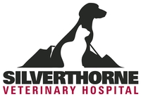 Silverthorne Veterinary Hospital