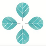 Thrive Global