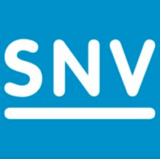 SNV logo