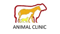 Animal Clinic L.L.C.