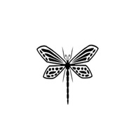 Dragonfly Central, inc.