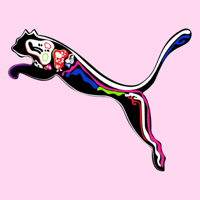 Junior Marketing Manager Running at PUMA Group Girlboss Jobs