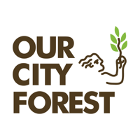 Our City Forest
