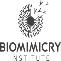 The Biomimicry Institute logo