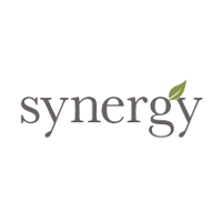 Synergy Enterprises logo