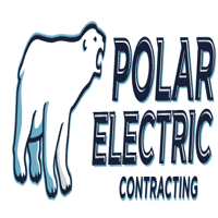 Polar Electric logo