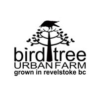 Bird Tree Urban Farm
